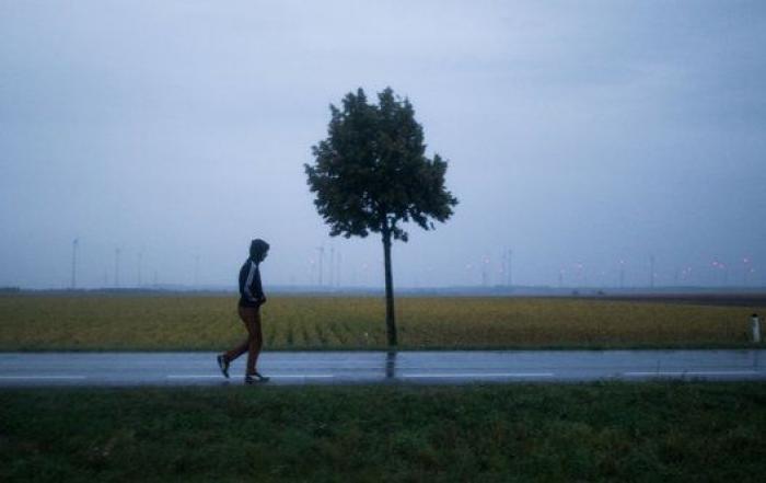 El cardenal Cañizares: "¿Esta invasión de emigrantes y de refugiados es todo trigo limpio?"