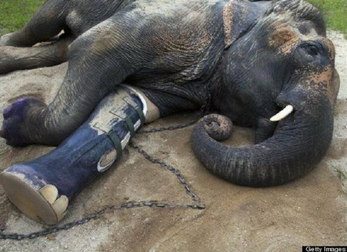 La Oficina del Español presenta su primer gran iniciativa dos meses después: un festival de la Hispanidad