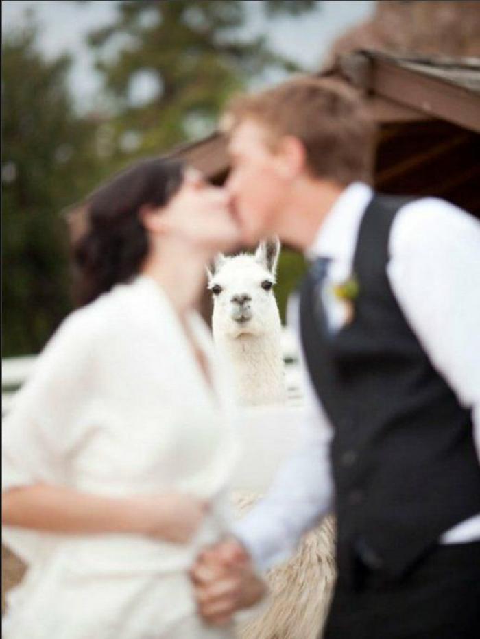 La Oficina del Español presenta su primer gran iniciativa dos meses después: un festival de la Hispanidad