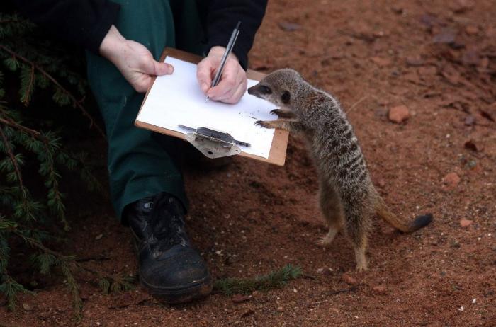 La Oficina del Español presenta su primer gran iniciativa dos meses después: un festival de la Hispanidad