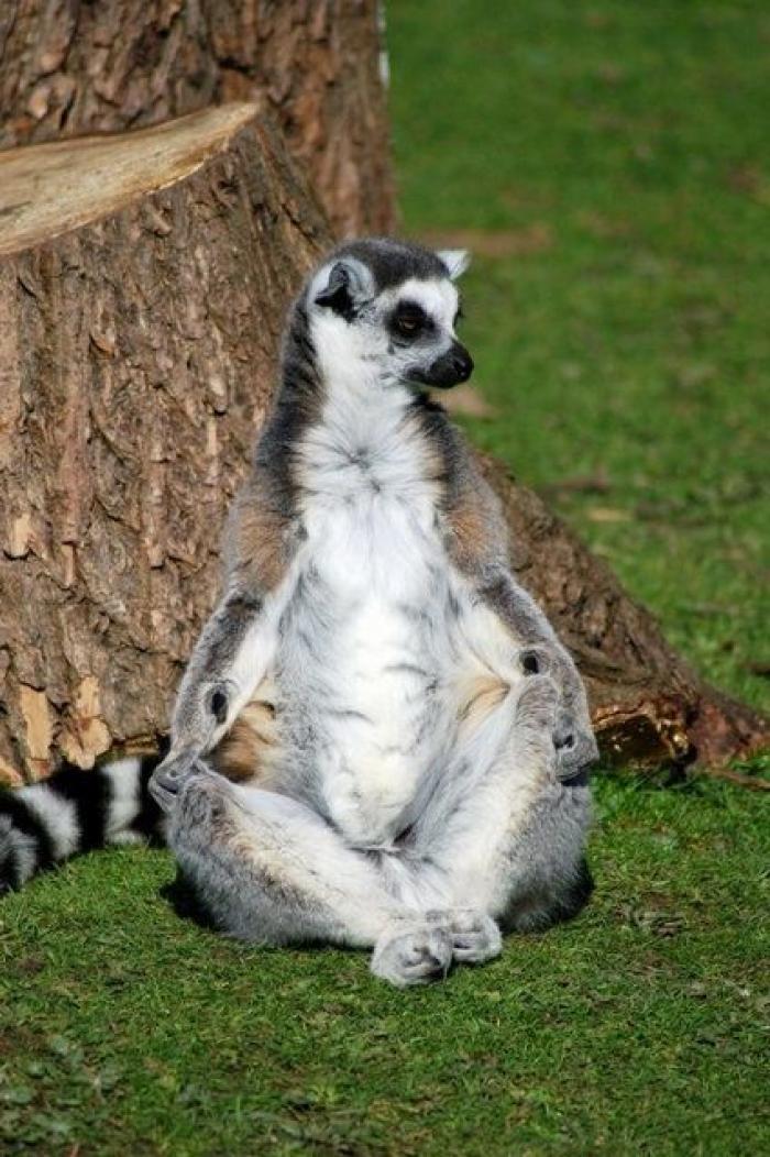 La Oficina del Español presenta su primer gran iniciativa dos meses después: un festival de la Hispanidad