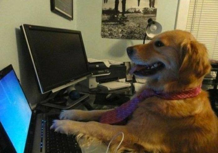 La Oficina del Español presenta su primer gran iniciativa dos meses después: un festival de la Hispanidad