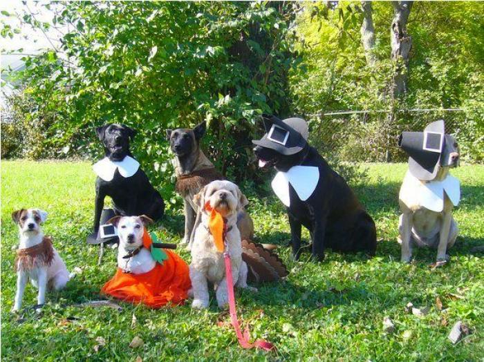 La Oficina del Español presenta su primer gran iniciativa dos meses después: un festival de la Hispanidad