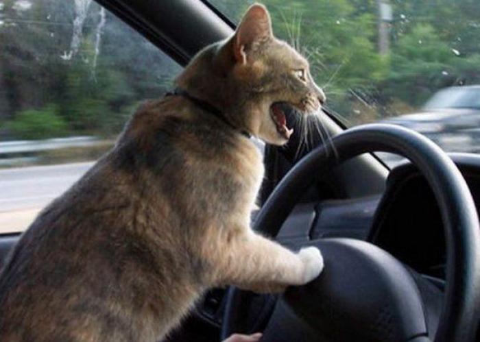 La Oficina del Español presenta su primer gran iniciativa dos meses después: un festival de la Hispanidad