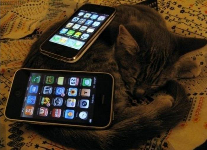 La Oficina del Español presenta su primer gran iniciativa dos meses después: un festival de la Hispanidad