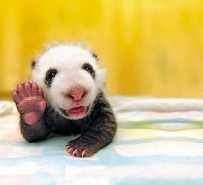 La Oficina del Español presenta su primer gran iniciativa dos meses después: un festival de la Hispanidad