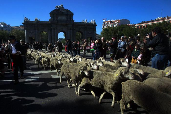La Oficina del Español presenta su primer gran iniciativa dos meses después: un festival de la Hispanidad