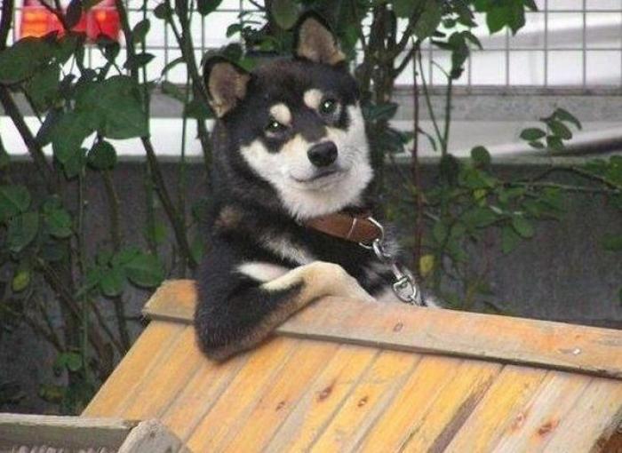 La Oficina del Español presenta su primer gran iniciativa dos meses después: un festival de la Hispanidad