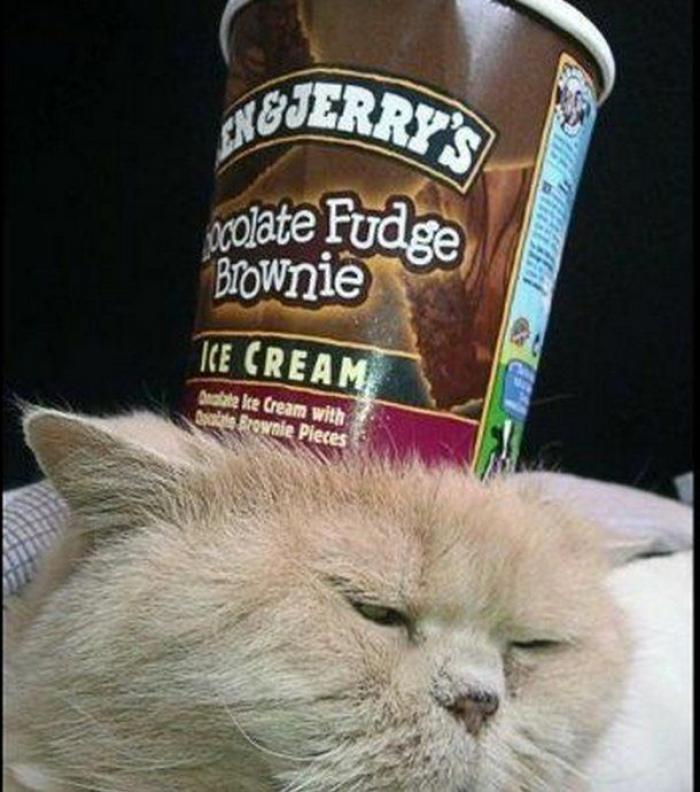 La Oficina del Español presenta su primer gran iniciativa dos meses después: un festival de la Hispanidad