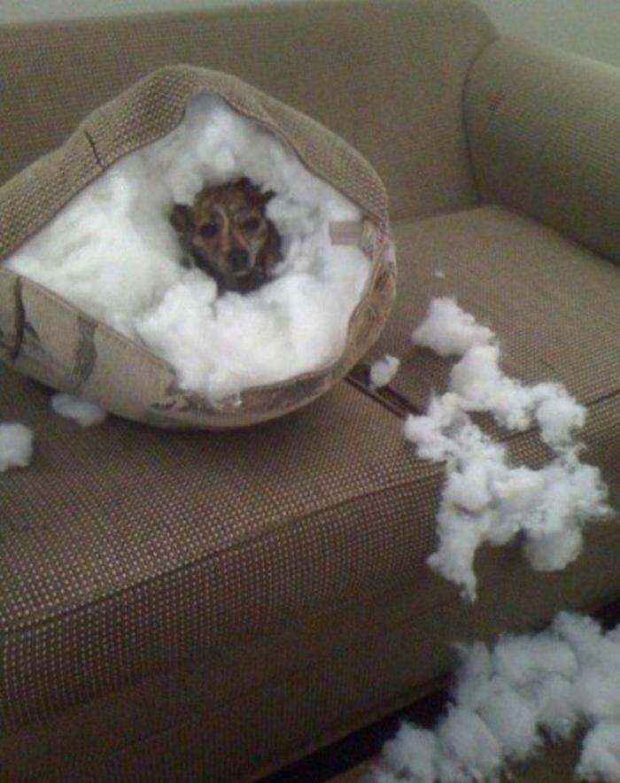 La Oficina del Español presenta su primer gran iniciativa dos meses después: un festival de la Hispanidad