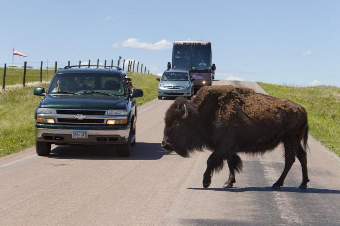 La Oficina del Español presenta su primer gran iniciativa dos meses después: un festival de la Hispanidad