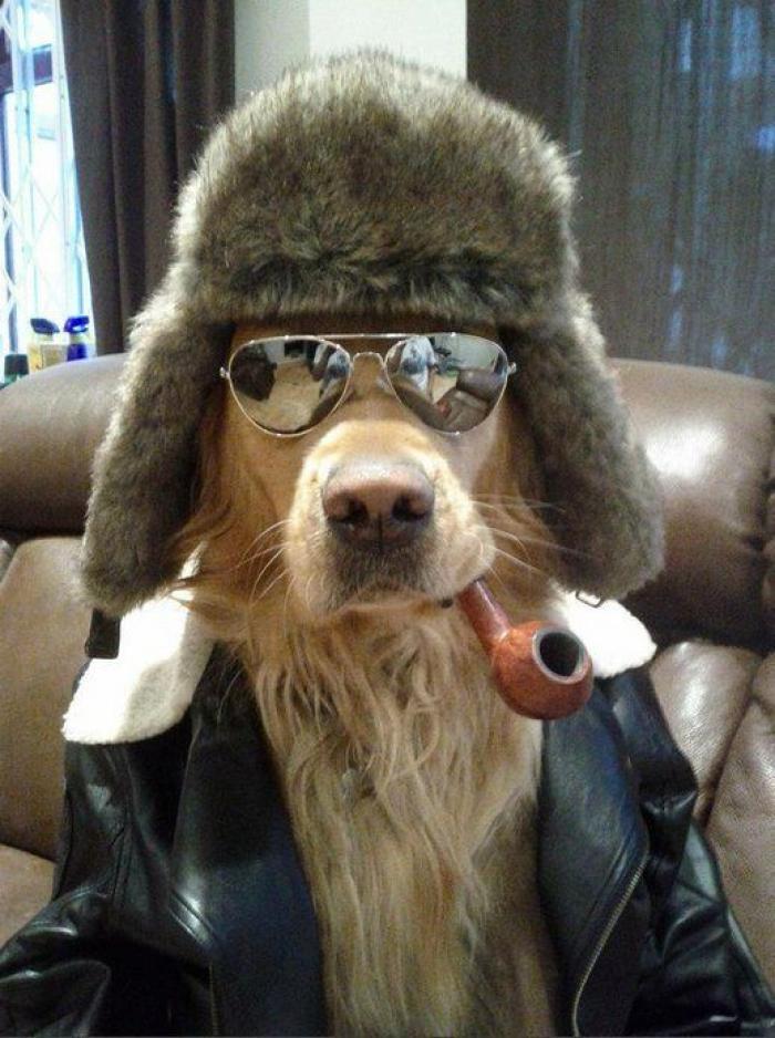 La Oficina del Español presenta su primer gran iniciativa dos meses después: un festival de la Hispanidad