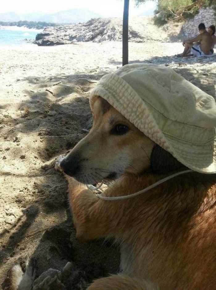 La Oficina del Español presenta su primer gran iniciativa dos meses después: un festival de la Hispanidad