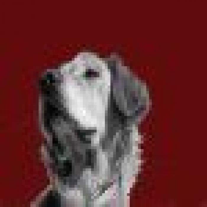 Debate sobre el estado de la nación: así lo comenta nuestra Comunidad (COMENTARIOS)