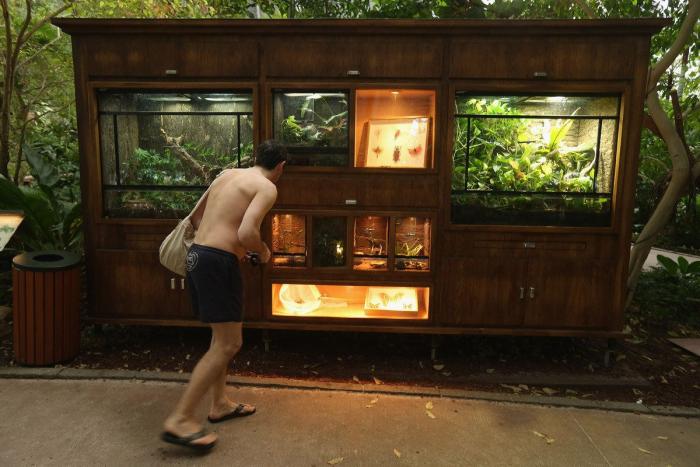 'Paraíso' tropical artificial de Alemania: un antiguo hangar para imaginar la playa todo el año (FOTOS)