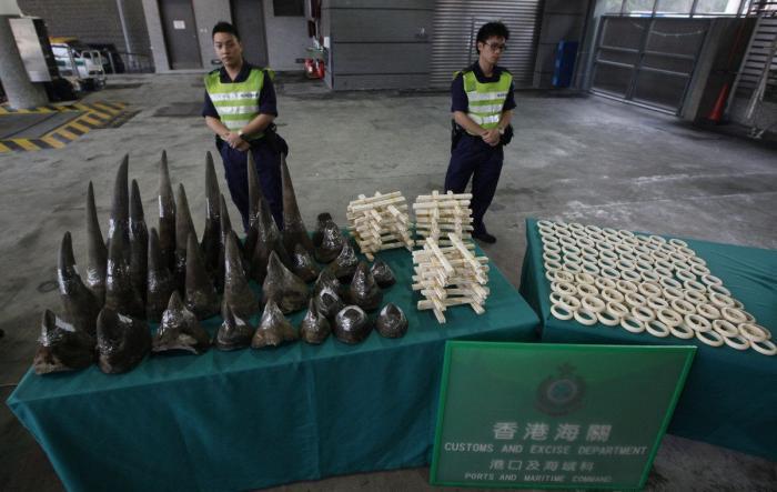 Tráfico de animales: 11 datos preocupantes sobre el comercio ilegal de especies protegidas (FOTOS)