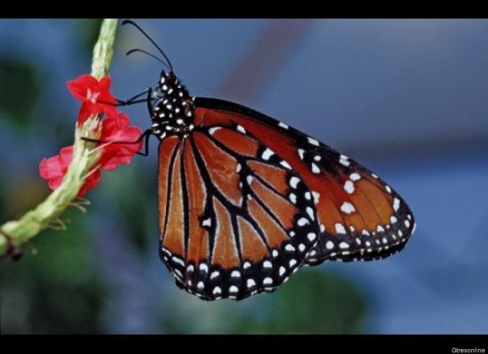 Por qué deberías fijarte en si tu maquillaje se vende en China