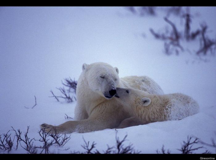 Por qué deberías fijarte en si tu maquillaje se vende en China