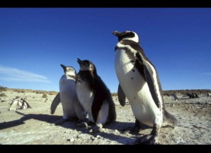 Por qué deberías fijarte en si tu maquillaje se vende en China