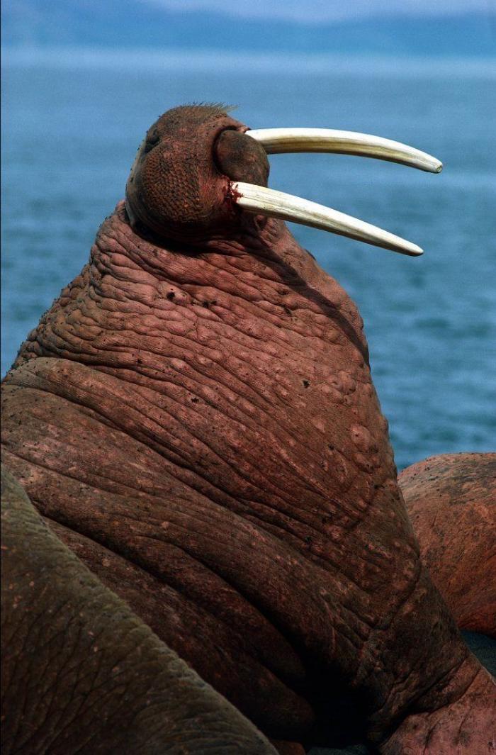 Por qué deberías fijarte en si tu maquillaje se vende en China