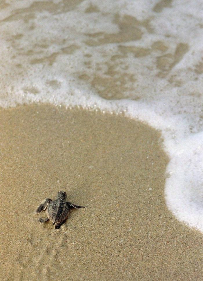 Por qué deberías fijarte en si tu maquillaje se vende en China