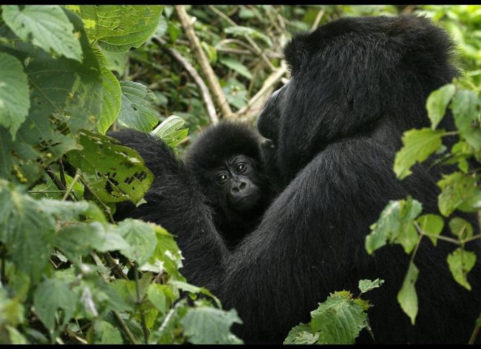 Por qué deberías fijarte en si tu maquillaje se vende en China