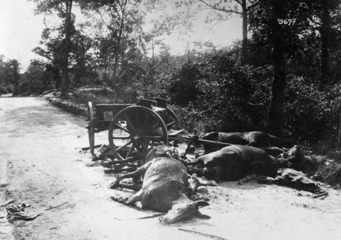 Muere el icónico marinero del beso en Times Square