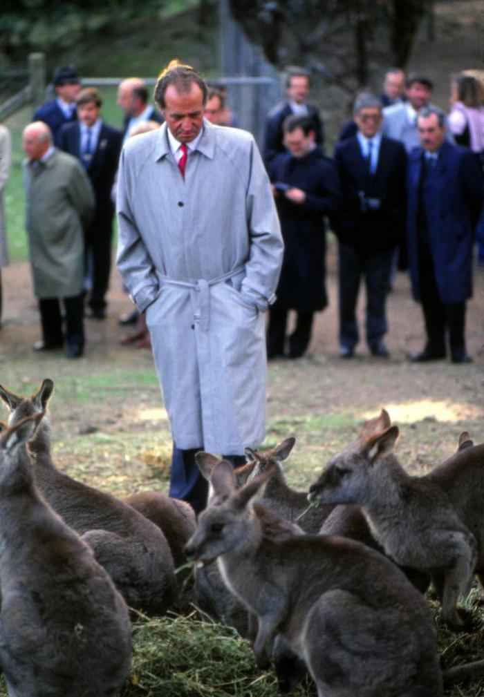 La abdicación del rey en las portadas de los periódicos (FOTOS)