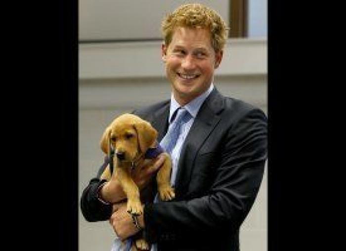 Las revelaciones explosivas de las memorias del príncipe Harry