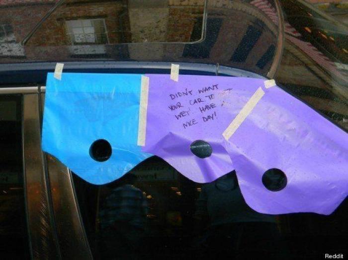 La emocionante transformación de un gorrilla gracias a una peluquería mallorquina