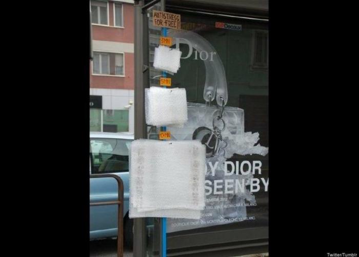 La emocionante transformación de un gorrilla gracias a una peluquería mallorquina