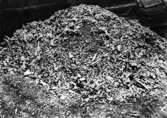 El judío es el culpable, y yo también