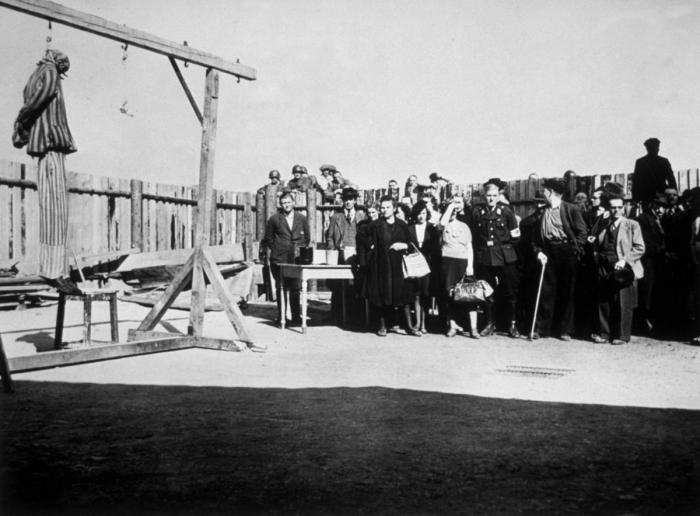 El judío es el culpable, y yo también