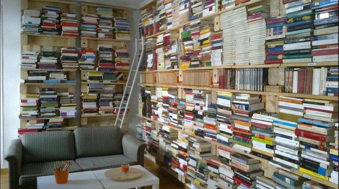 La emocionante transformación de un gorrilla gracias a una peluquería mallorquina