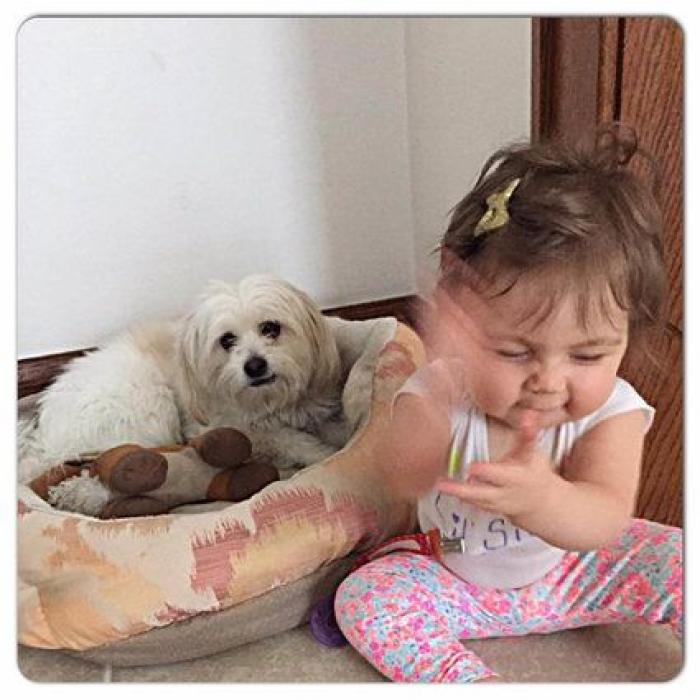 27 fotos que resumen de un vistazo lo que es la vida con bebés