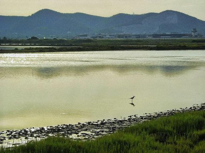 Paisajes reflejados en el agua: las fotos de los lectores