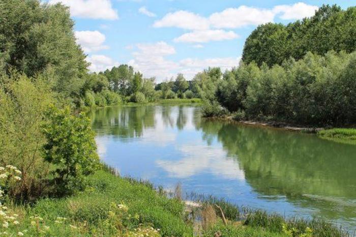 Paisajes reflejados en el agua: las fotos de los lectores