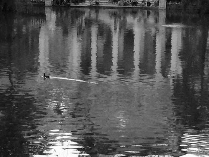 Paisajes reflejados en el agua: las fotos de los lectores