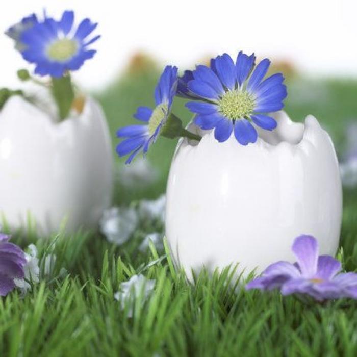 7 FP básicas que sí que molan y no la de banderillero