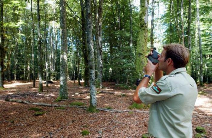 7 FP básicas que sí que molan y no la de banderillero