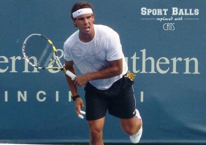 Los bichinos de la semana: el deporte nunca había molado tanto (FOTOS)