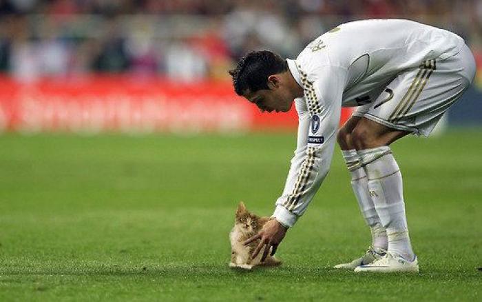Los bichinos de la semana: el deporte nunca había molado tanto (FOTOS)
