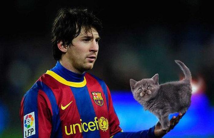 Los bichinos de la semana: el deporte nunca había molado tanto (FOTOS)