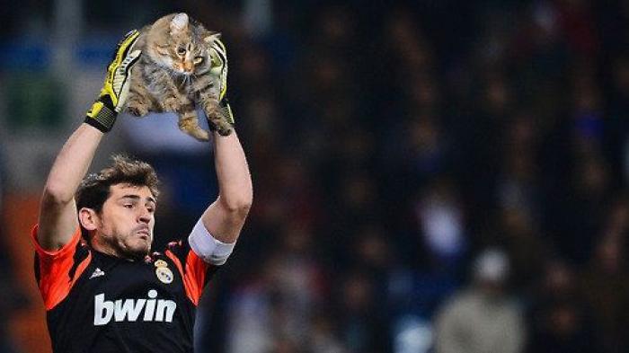 Los bichinos de la semana: el deporte nunca había molado tanto (FOTOS)