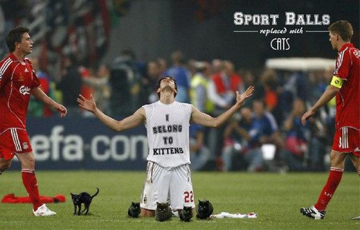 Los bichinos de la semana: el deporte nunca había molado tanto (FOTOS)