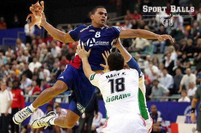 Los bichinos de la semana: el deporte nunca había molado tanto (FOTOS)