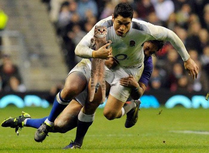 Los bichinos de la semana: el deporte nunca había molado tanto (FOTOS)