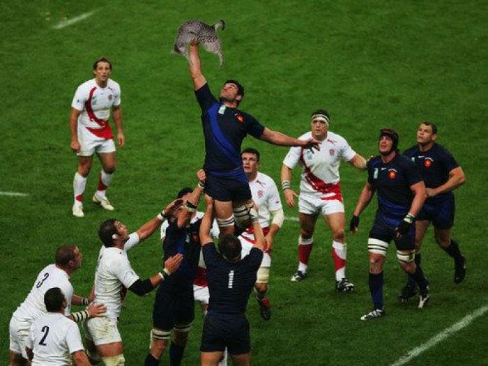 Los bichinos de la semana: el deporte nunca había molado tanto (FOTOS)