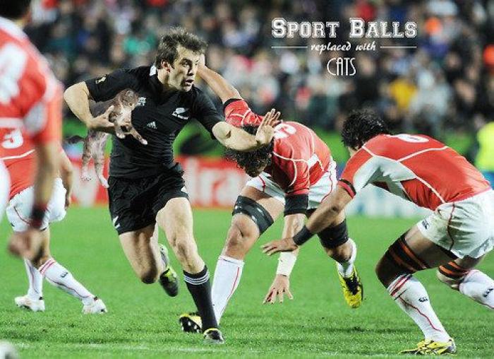 Los bichinos de la semana: el deporte nunca había molado tanto (FOTOS)