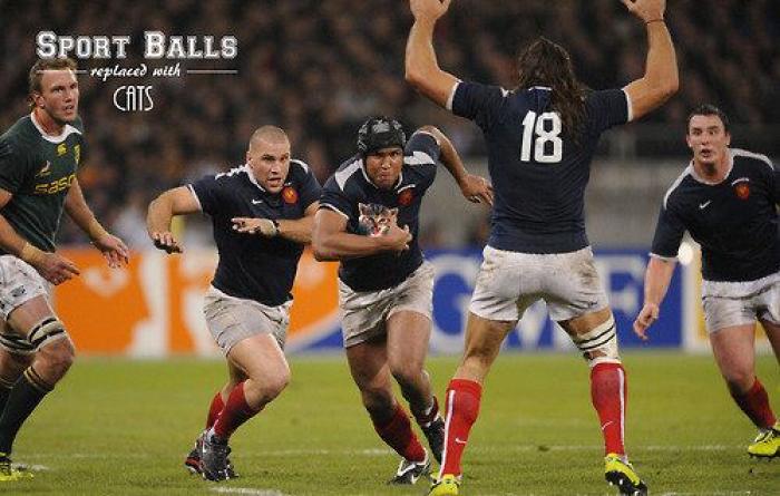 Los bichinos de la semana: el deporte nunca había molado tanto (FOTOS)